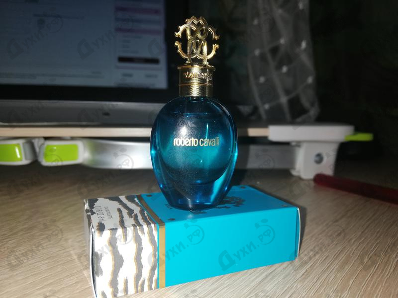 roberto cavalli acqua price